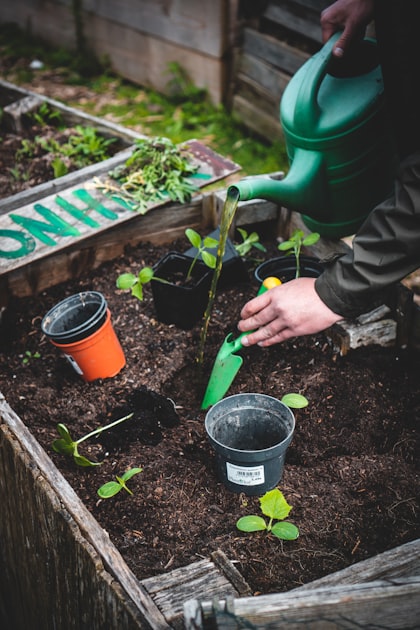 Rehabilitation of Neglected Gardens