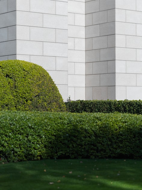 Top Gardening Services in Israel
